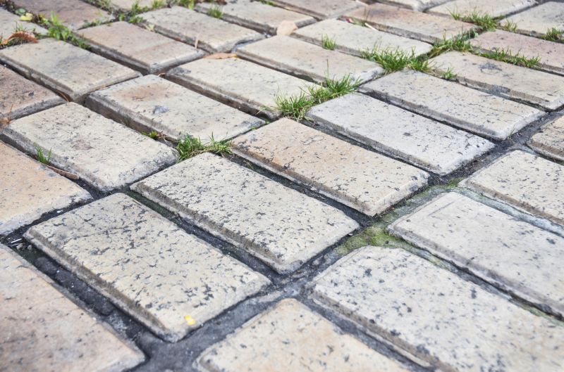 Brick Flatwork Repair in Estero, FL